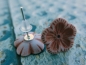 Preview: Blümchen Ohrstecker Aster Gerbera Blüte Blume